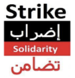 MENA Solidarity Network