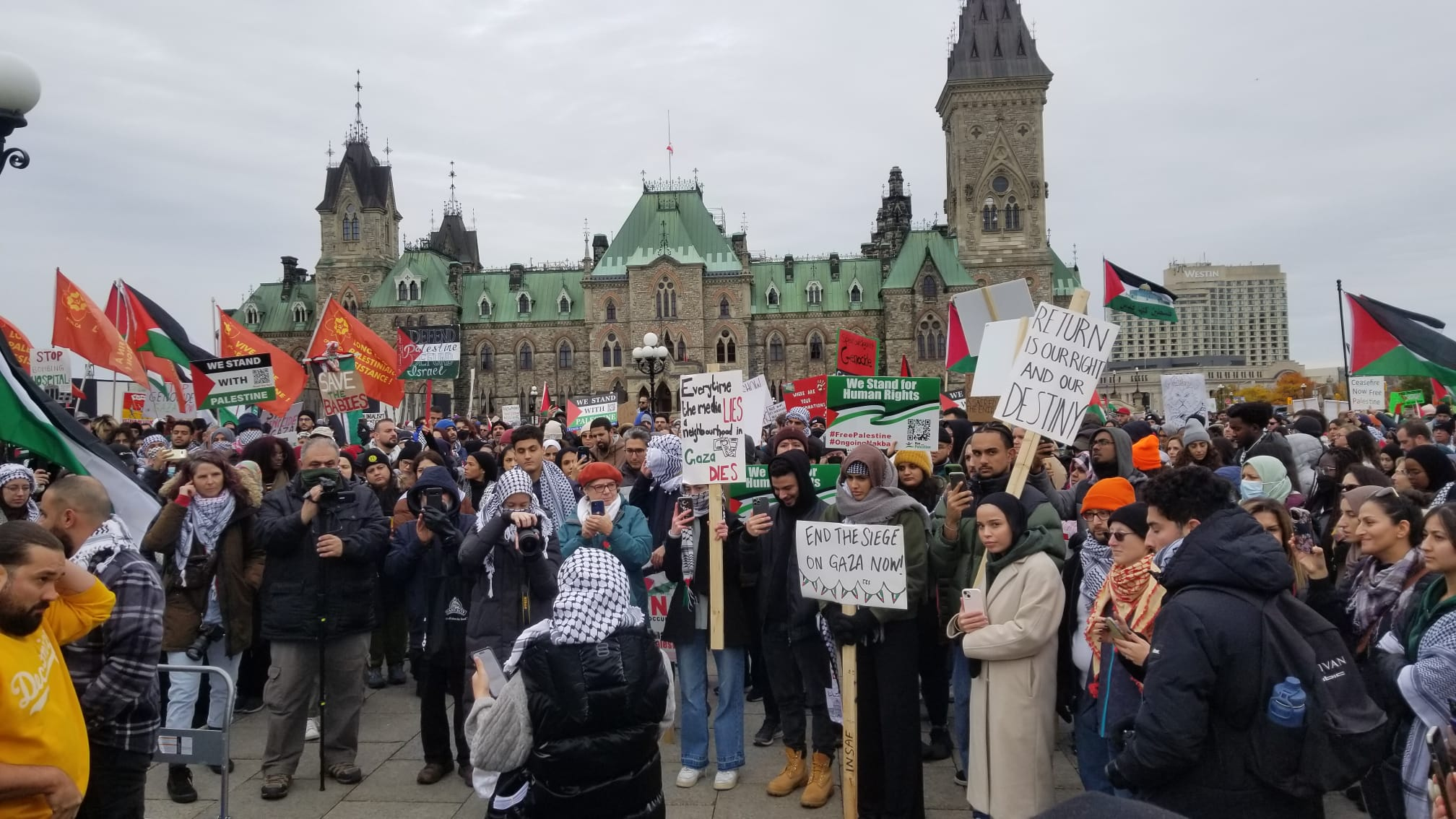 Mass movement for Palestinian solidarity forces NDP in the right ...